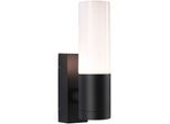 LED Außen-Wandleuchte PAULMANN "Outdoor 230V Tralia E27 IP44 anthrazit", grau (anthrazit), B:6,5cm H:25cm T:13,3cm, Leuchten, LED Außen-Wandleuchte, E27, IP44