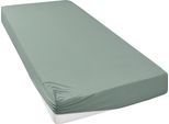 Spannbettlaken OTTO HOME "GRETA Jersey aus 100% Baumwolle, 150 g/m²", grün (jade), L:200cm, Jersey, Obermaterial: 100% Baumwolle, Bettlaken, Spannbettlaken, Premium Bettlaken für Matratzen bis 23 cm Höhe, perfekter Sitz