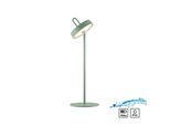 JUST LIGHT Tischleuchte "AMAG", grün, 1, Ø 15cm H: 47,2cm, 1 Stk., Leuchten, Akkuleuchte, Tischleuchte