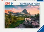 Puzzle RAVENSBURGER "Almbock mit Baby", bunt, Puzzles, KinderB:121cm H:80cm, Pappe, Motiv, Made in Germany, B:121cm H:80cm