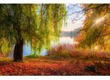 Fototapete PAPERMOON "HERBST-SEE-SONNE WALD UFER WASSER WALD BÄUME STRAND", bunt, B:4m L:2,6m, Vlies, Tapeten