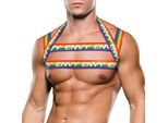 Rainbow Harness