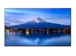 Sharp P506 Digital Signage Display 125,7 cm 50 Zoll