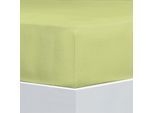 Bettlaken FLORELLA "Flausch-Flanell, 100% Baumwolle", grün (linde), B:100cm L:200cm, Flanell, Obermaterial: 100% Baumwolle CO., Bettlaken, Bettlaken