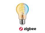 PAULMANN LED-Leuchtmittel "Smart Filament AGL 600lm 2200K-5500K gold 230V", Energieeffizienz: G, gold (goldfarben), L:11cm Ø:6cm, Leuchtmittel, LED-Leuchtmittel