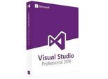 Microsoft Visual Studio 2019 Professional, ESD
