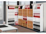 Büroregal Dante®, Regalfeld, H 2250 x B 800 mm, Rückwand, weiß