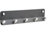 Wandgarderobe, 5 Haken, B 260 x T 20 x H 75 mm, Eisen und Edelstahl, satin-grau/silber