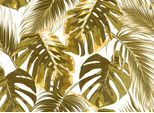Fototapete LIVING WALLS "Designwalls Palm Leaves 2", braun (gold, braun, weiß), B:3,5m L:2,55m, Vlies, Tapeten, Vlies, Wand, Schräge, Decke