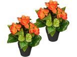Kunstpflanze DELAVITA "Eleonore", orange, B:15cm H:24cm, Obermaterial: 50% Kunststoff, 50% Polyester, Kunstpflanzen, Kunstpflanze, im Topf, 2er Set