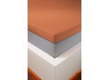 Spannbettlaken BELLANA "bellana deluxe für Topper, mit Elasthan, Premium Jersey 230 g/m²", mandarine, 1 Stk., Jersey, 180x200 180x210 180x220 190x200 190x210 190x220 200x200 200x210 200x220 10cm, Jersey, Obermaterial: 95% Baumwolle, 5% Elasthan (LYCRA), Bettlaken, Spannbettlaken, mit 5% Elasthan, für Topper mit 4-10cm Höhe, bügelfrei, faltenfrei
