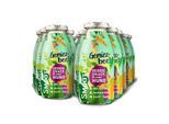 SmoothieDog Gemüsebeet 12x250 ml