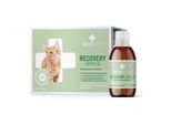 RECOACTIV Recovery Immun für Katzen, hochkalorisches Diät-Alleinfuttermittel, appetitanregend 270 ml