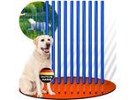 PfotenWunder® 10x Slalomstangen, Profi-Agility-Slalom-Set groß Sport, für kleine & große Hunde-Training Parcour Zubehör