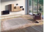 Teppich WK WOHNEN "BORDER", braun (cappuccino), B:240cm H:8mm L:300cm, Polyacryl, Viskose, Teppiche, Teppich, hochwertiger Viskoseanteil, samtweiche Oberfläche mit 3 D Effekt