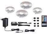 PAULMANN LED-Streifen "MaxLED 250 TV Comfort Basisset 55 Zoll 3,6m Dynamic RGB 20,5W 277lm/m", silber (silberfarben), Dioden 110 Stk. Flammen 1 Stk., Gesamtlänge 3,62m, Lichterketten, Basisset, LED-Streifen