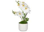 Möbelix , Weiß , Keramik , 38 cm , inkl. Topf, Real-Touch-Oberfläche , Dekoration, Blumen & Blumentöpfe, Kunstblumen