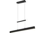 REALITY LEUCHTEN LED Pendelleuchte "PAROS", schwarz, 1, H: 150cm, 1 Stk., Leuchten, über Wandschalter dimmbar, höhenverstellbar, up and down Beleuchtung, LED Pendelleuchte