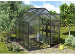 Gewächshaus VITAVIA "Apollo 3800", schwarz, B:195cm T:199cm, Gewächshäuser, Gewächshaus