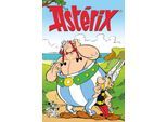 Leinwandbild LUCKYLINDE "Asterix, Obelix und Idefix II", bunt (farbe bild(er): bunt), B:60cm H:90cm T:3cm, Holz, Leinwand, Bilder, Leinwandbild, Canvasbild Wanddeko Bild zum Film "Kampf der Häuptlinge"