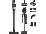 SAMSUNG Akku-Handstaubsauger "VS20C95D2TK/WD, Jet 95 Akku+ PetPRO", schwarz, B:25cm H:93cm T:20,2cm, Akkusauger, 580 W, beutellos, 2x Akkus, Akku-Handstaubsauger
