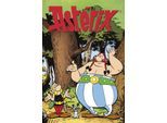 Leinwandbild LUCKYLINDE "Asterix, Obelix und Idefix III", bunt (farbe bild(er): bunt), B:60cm H:90cm T:3cm, Holz, Leinwand, Bilder, Leinwandbild, Canvasbild Wanddeko Bild zum Film "Kampf der Häuptlinge"
