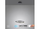 JUST LIGHT Pendelleuchte "RITUS", grau (anthrazit), 1, Ø 3,9cm, 1 Stk., Leuchten, LED, dimmbar, Switchmo, Pendelleuchte
