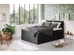 Boxspringbett COTTA "Shark inkl. Bettkasten und Topper", schwarz, B:146cm L:212cm, 100% POLYESTER (PES), Komplettbetten, Boxspringbett, erhältlich in den Breiten 140x200cm, 160x200cm und 180x200cm