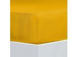 Bettlaken FLORELLA "Flausch-Flanell, 100% Baumwolle", gelb (gold), B:180cm L:200cm, Flanell, Obermaterial: 100% Baumwolle CO., Bettlaken, Bettlaken