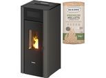 Pelletofen FREEPOINT "Amaranto 9", grau (schwarz), Kaminöfen, Pelletofen