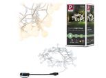 PAULMANN LED-Lichterkette "Plug & Shine IP44 5m 24V 3.000K 48x2lm", schwarz, Flammen 1 Stk., Gesamtlänge 5m, Lichterketten, LED-Lichterkette