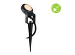 LED Gartenstrahler PAULMANN "Plug & Shine Sting Einzelspot IP67 2200K 6,3W Anthrazit", grau (anthrazit), H:29cm Ø:5,2cm, Leuchten, LED Gartenstrahler, insektenfreundlich