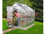 Gewächshaus VITAVIA "Venus 3800", silber (silberfarben), B:192cm T:192cm, Gewächshäuser, Gewächshaus