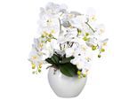 Möbelix , Grün, Weiß , Kunststoff , 56 cm , inkl. Topf , Dekoration, Blumen & Blumentöpfe, Kunstblumen