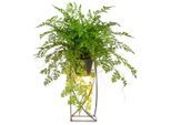 Möbelix , Grün, Schwarz , Metall , 60 cm , inkl. Topf, LED-Beleuchtung , Dekoration, Blumen & Blumentöpfe, Kunstblumen