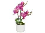 Möbelix , Creme, Pink , Keramik , 38 cm , Real-Touch-Oberfläche , Dekoration, Blumen & Blumentöpfe, Kunstblumen