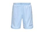 Shorts DROPSIZE "Dropsize Herren Dropsize V2 Mesh Shorts", Herren, Gr. S, US-Größen, blau (baby blau), 100% Polyester, normal, Hosen Shorts