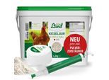HÜHNER Land Kieselgur für Hühner 4,3kg INKLUSIVE Pulverzerstäuber