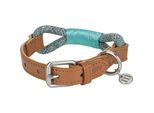 more LIFESTYLEPETS Tau-Halsband türkis L