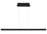 LED-Hängeleuchte Dentsy Schwarz max. 43 Watt