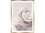 Bild Image ca. 50x70cm