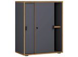 Aktenschrank Salia Anthrazit/Honigeiche