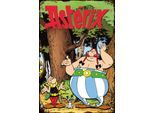 Metallbild LUCKYLINDE "Asterix, Obelix und Idefix III", bunt (farbe bild(er): bunt), B:20cm H:30cm T:0,2cm, Stahl, Bilder, Stahlschild 20x30 cm Wanddeko Bild zum Film "Kampf der Häuptlinge"