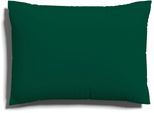 Kissenbezug SCHLAFGUT "EASY JERSEY Kissenhülle 100% Baumwolle, weicher Edel-Jersey, bügelfrei", grün (grün deep), B:60cm L:80cm, Jersey, Obermaterial: 100% Baumwolle, Kissenbezüge, Kissenbezug, mit farblich angepasstem Reißverschluss, pflegeleicht, formstabil