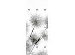 Garderobenleiste QUEENCE "Pusteblumen", grau (hellgrau), B:50cm H:120cm T:10cm, Acrylglas, Edelstahl, Garderobenhalter, Wandgarderobe, Garderobe, Schwarz/Weiß, Wand