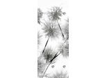 Garderobenleiste QUEENCE "Blüte", grau, B:50cm H:120cm T:10cm, Acrylglas, Edelstahl, Garderobenhalter, mit 6 Haken, 50 x 120 cm