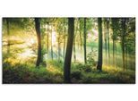 Wandbild ARTLAND "Herbst im Wald II", grün (farbe bild(er): grün), B:150cm H:75cm, Bilder, als Alubild, Leinwandbild, Poster in verschied. Größen