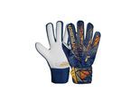 Torwarthandschuhe REUSCH "Attrakt Starter Grip", Damen, Gr. 7, bunt (goldfarben, blau), 34% Polyester, 25% Elastodien, 5% Lederimitat, 1% Baumwolle, mehrfarbig, Handschuhe, mit Negative Cut