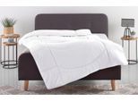 Microfaserbettdecke OTTO HOME "Microlux, Bettdecke 135x200 cm und Übergrößen bis 240x220cm", weiß, B:240cm L:220cm, Bezug: 100% Polyester. Obermaterial: 100% Polyester. Füllung: 100% Polyester, Bettdecken, Microfaserbettdecke, fest versteppter Bezug - keine Bettwäsche nötig, Sommer, Winter