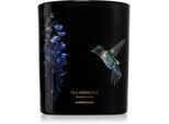 Vila Hermanos Jungletopia Hummingbird geurkaars 200 gr